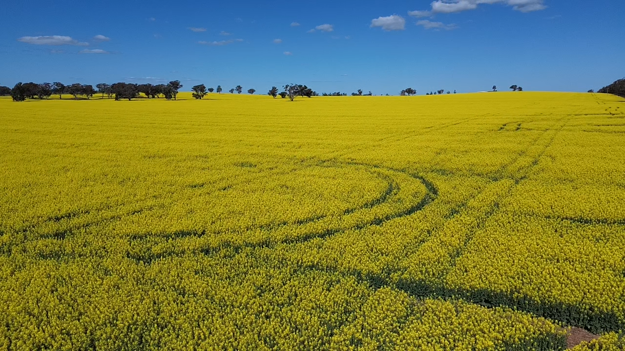 2 Coolamon Road, Coolamon For Sale by Farmbuy.com - image 12
