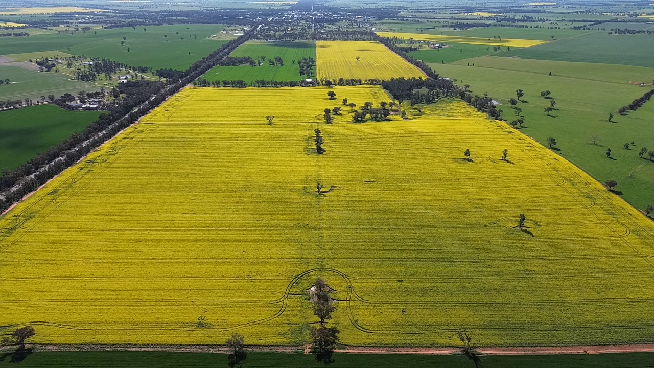 2 Coolamon Road, Coolamon For Sale by Farmbuy.com - image 1