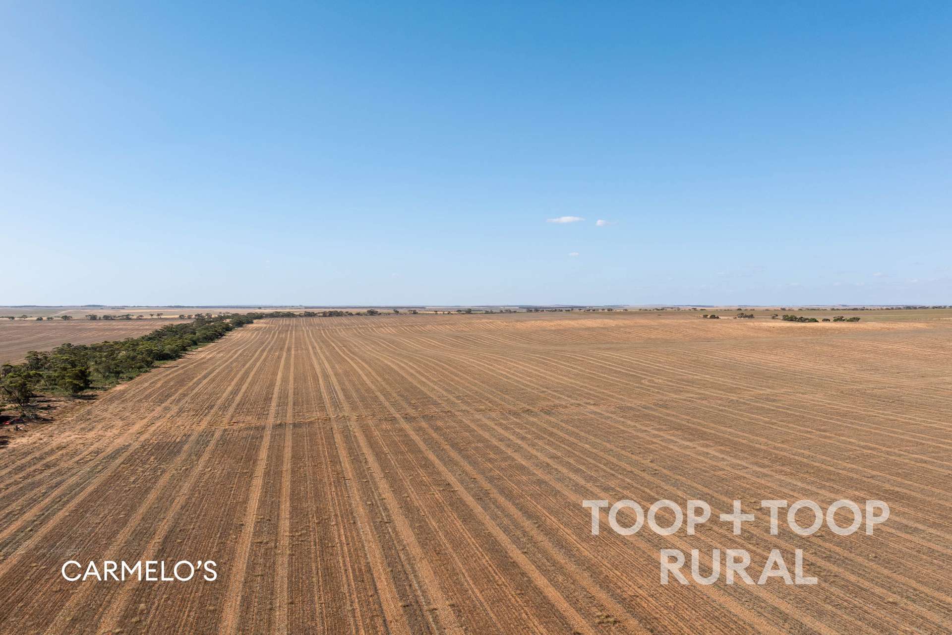 Church Road, Copeville For Sale by Farmbuy.com - image 4