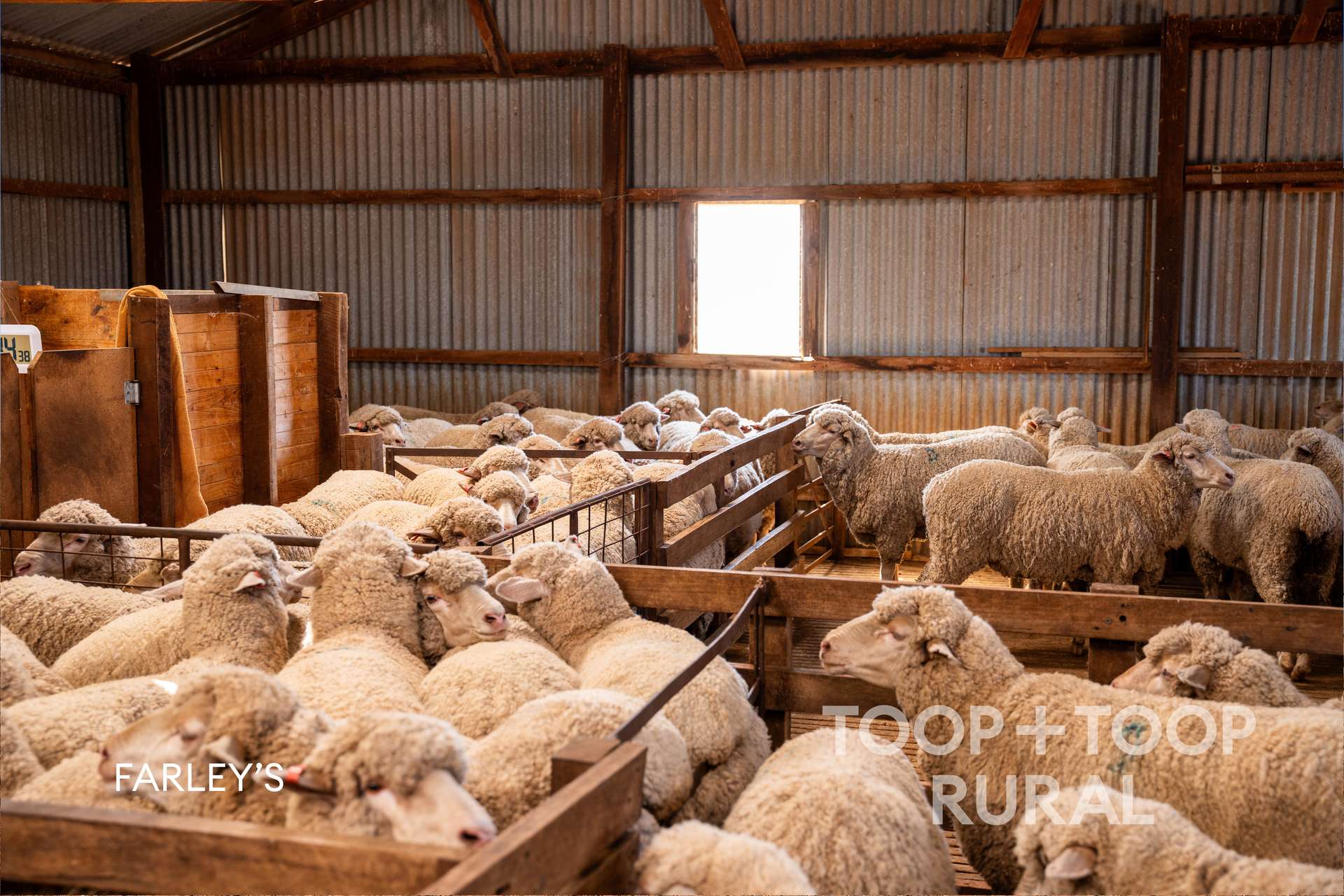Church Road, Copeville For Sale by Farmbuy.com - image 18