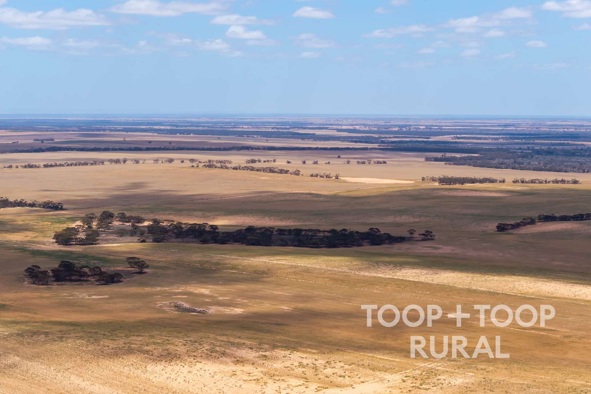 2167 Bakara Road, Galga For Sale by Farmbuy.com - image 11