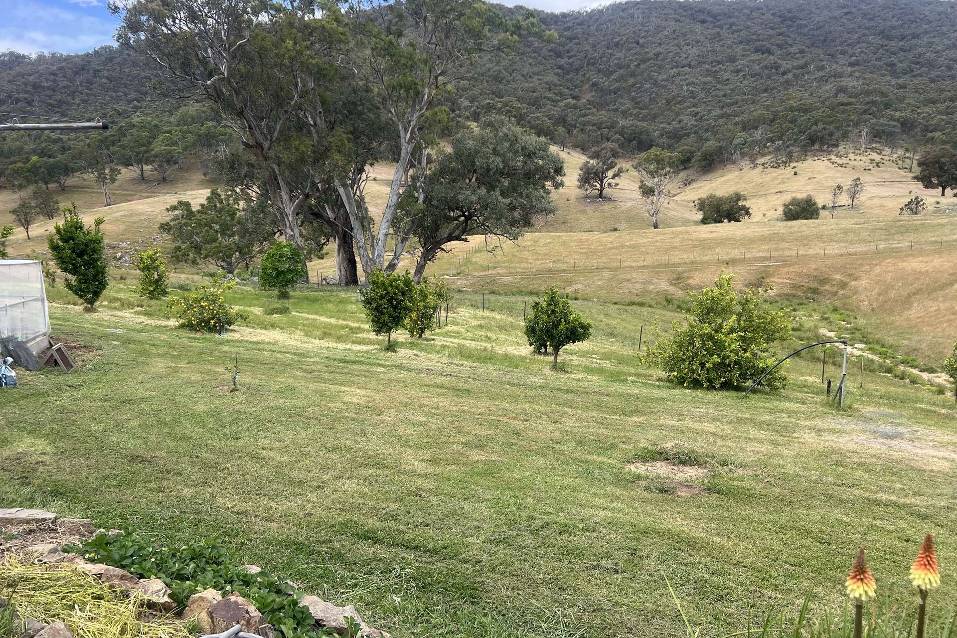 Lot 31 Lehmans Road, Talgarno For Sale by Farmbuy.com - image 5