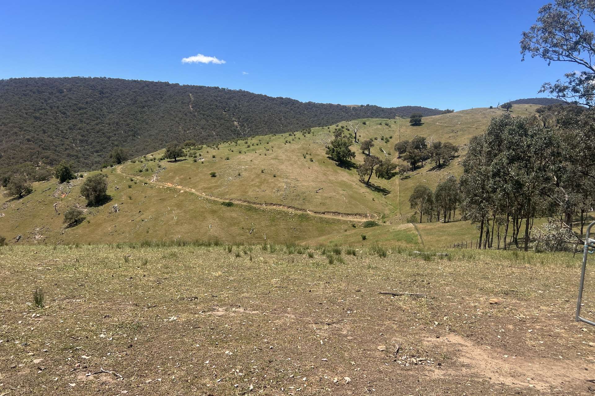 Lot 31 Lehmans Road, Talgarno For Sale by Farmbuy.com - image 14