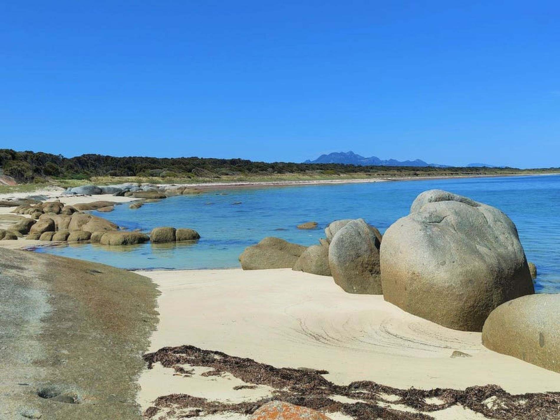 Lot 2, 1290 Palana Road, Blue Rocks For Sale by Farmbuy.com - image 9