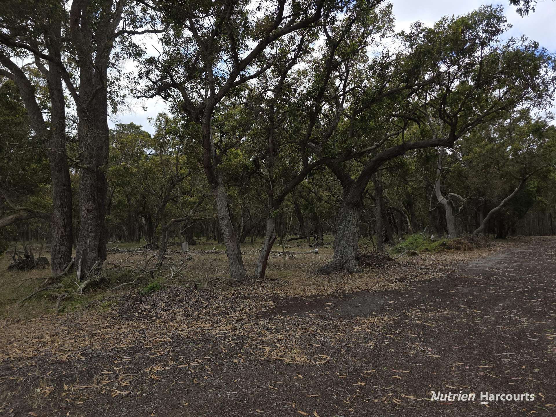 142 Mindijup Road, Palmdale For Sale by Farmbuy.com - image 6
