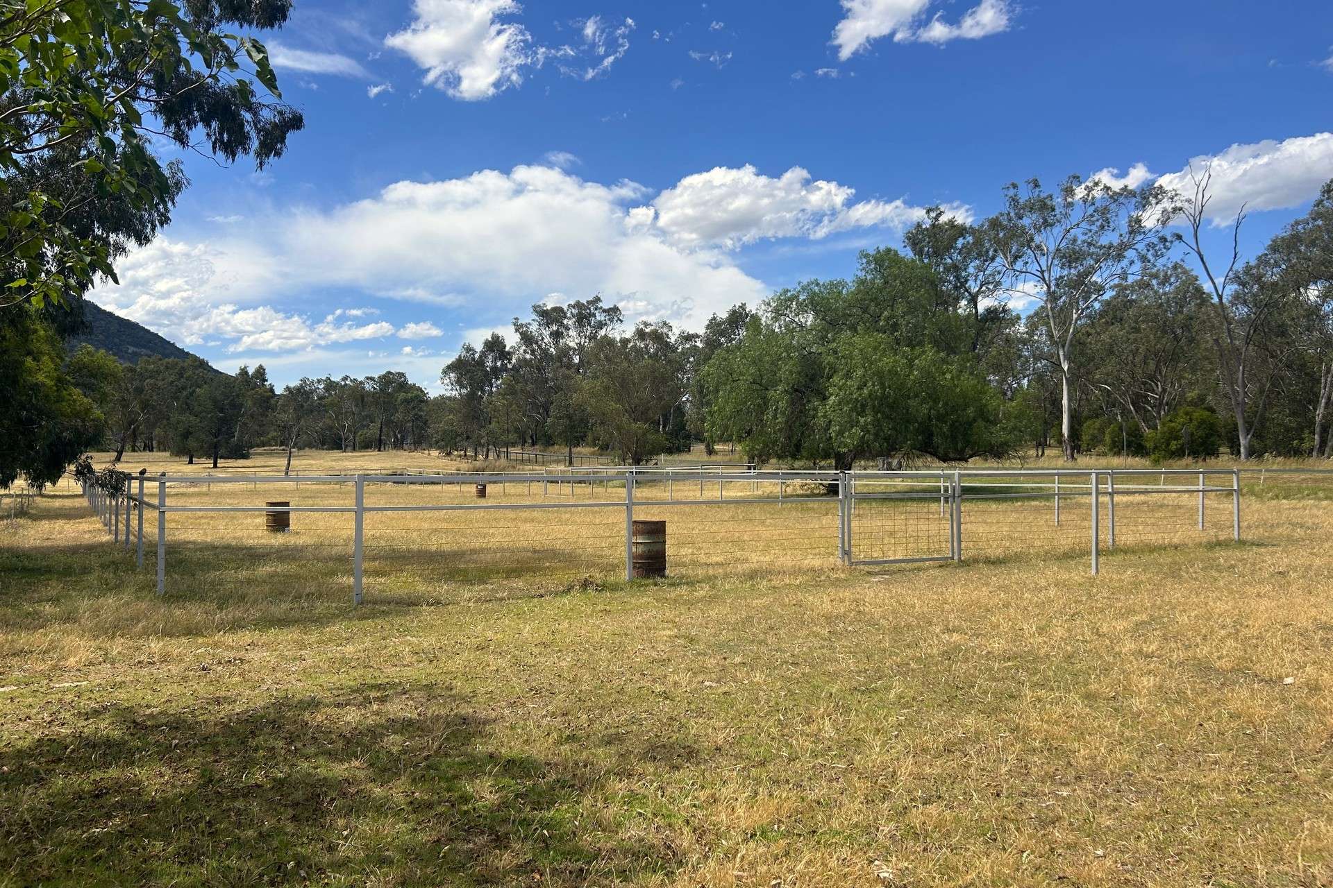 903 Daruka Road, Tamworth Sold by Farmbuy.com - image 11