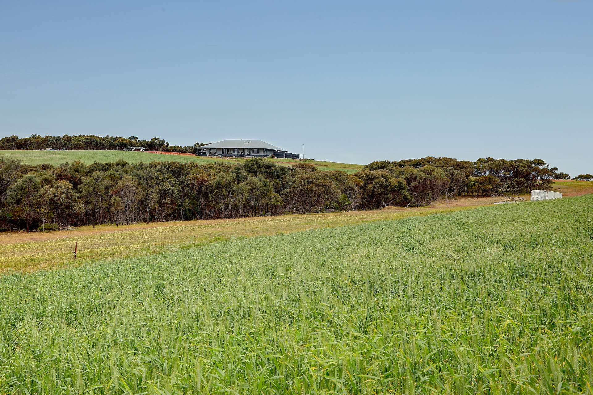 84 Lovegrove Lane, Whites Flat For Sale by Farmbuy.com - image 1