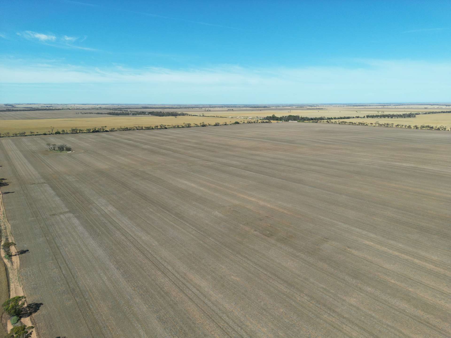 Sec 2W Barunga Road, Bute Sold by Farmbuy.com - image 1