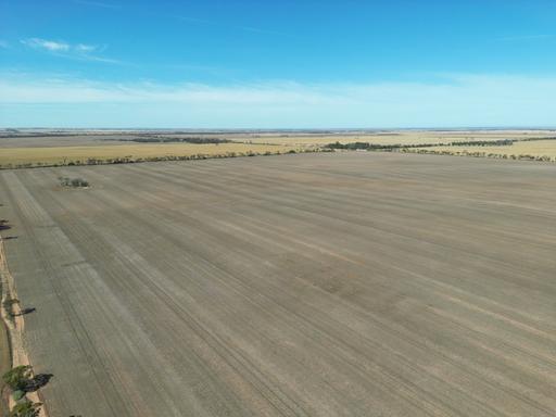 Farm Sold - SA - Bute - 5560 - Sec 2W Barunga Road 