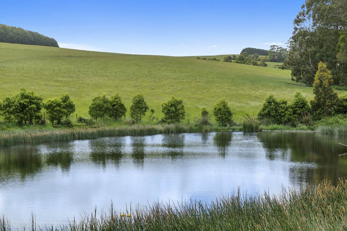 4230 Colac-Lavers Hill Road, Weeaproinah For Sale by Farmbuy.com - image 6