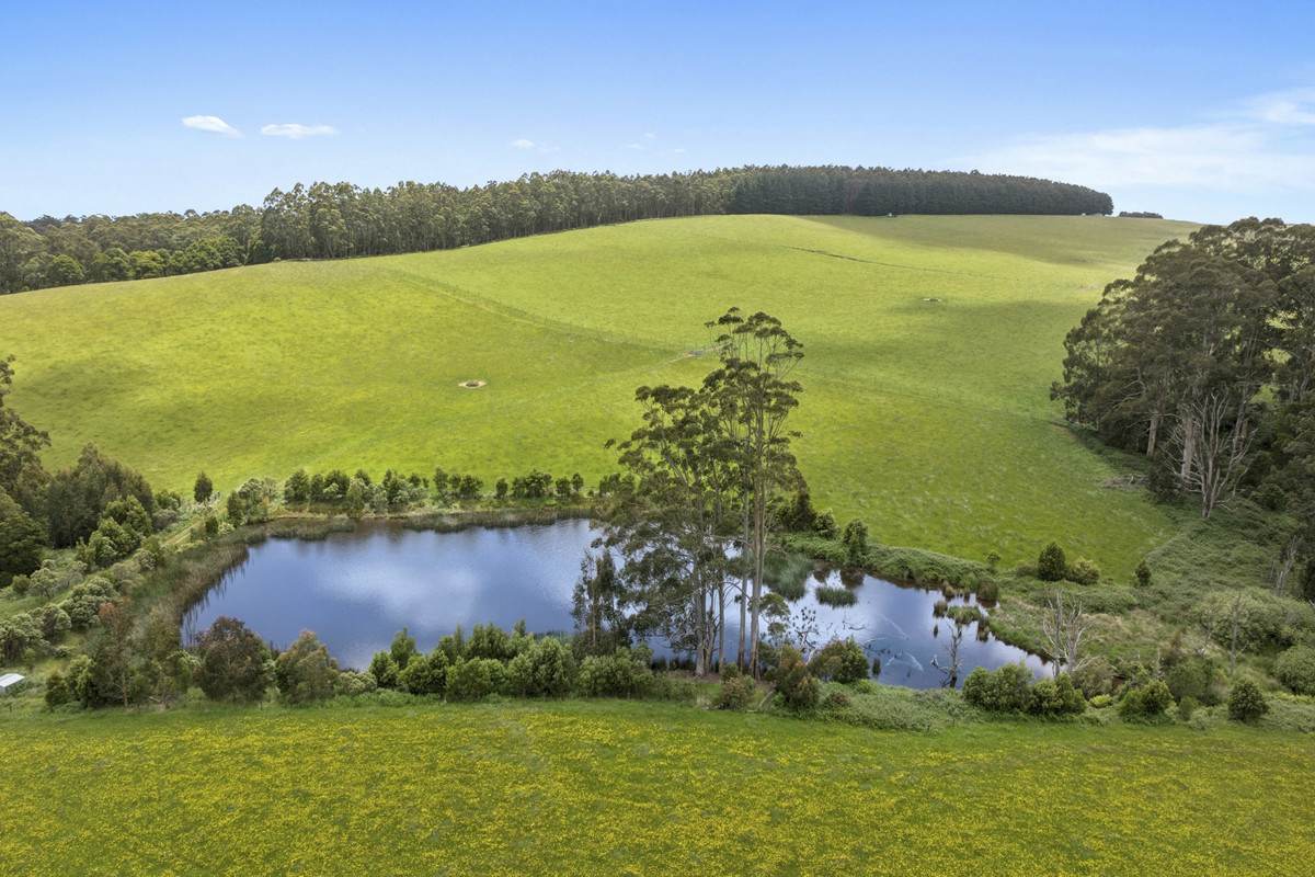 4230 Colac-Lavers Hill Road, Weeaproinah For Sale by Farmbuy.com - image 32