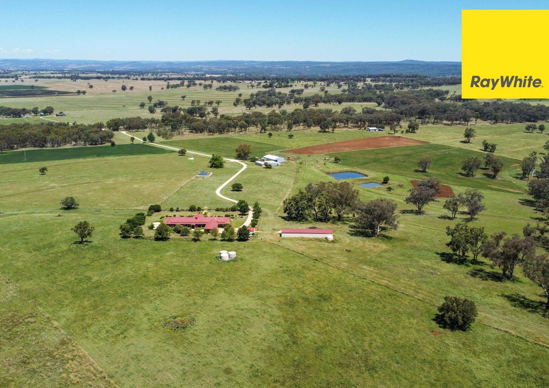 581 Kings Plains Road, Inverell Sold by Farmbuy.com - image 15