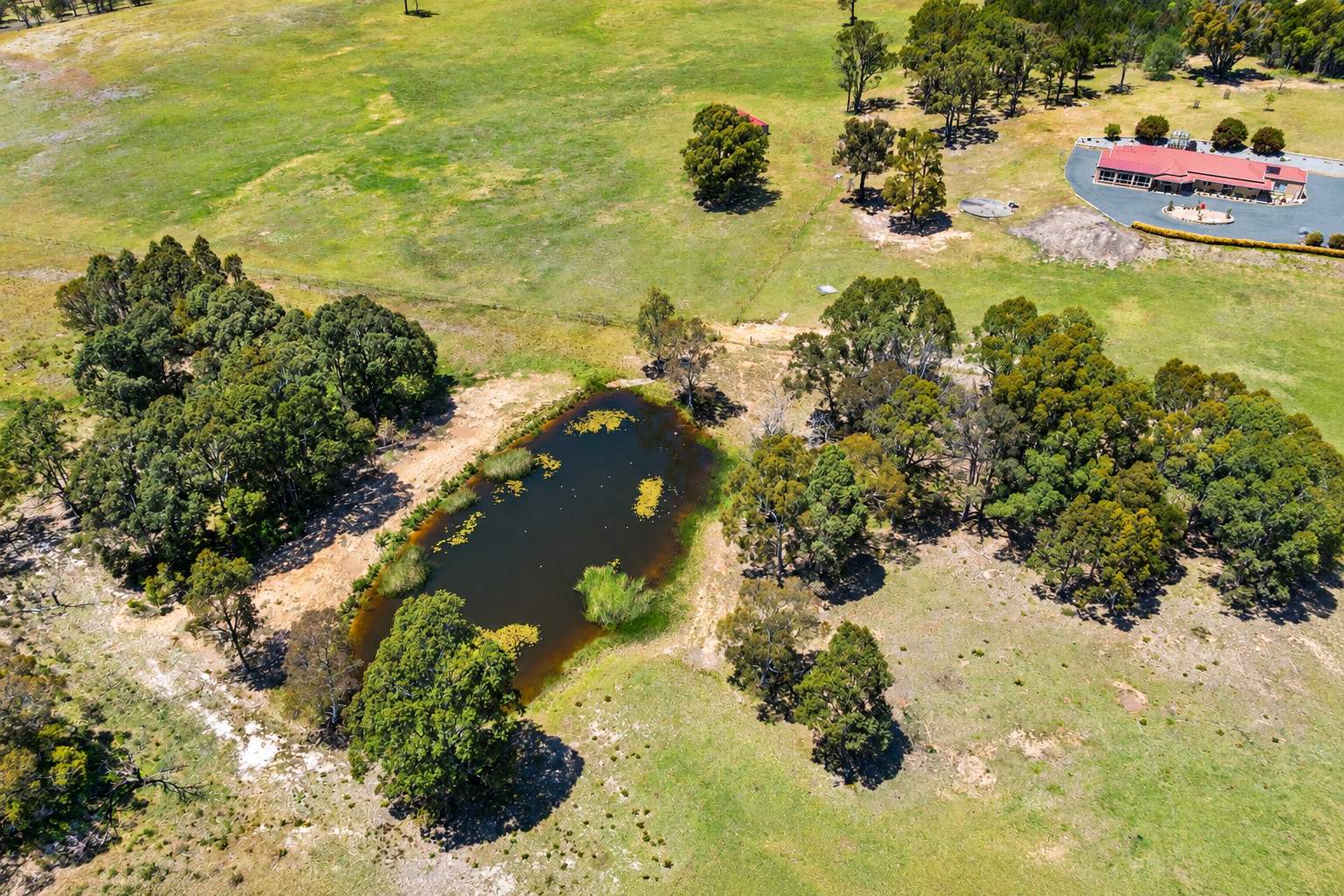 629 Kooringaroo Road, Gundary For Sale by Farmbuy.com - image 9