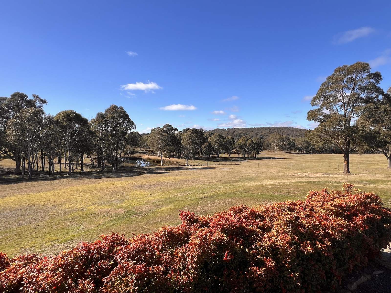 629 Kooringaroo Road, Gundary For Sale by Farmbuy.com - image 31
