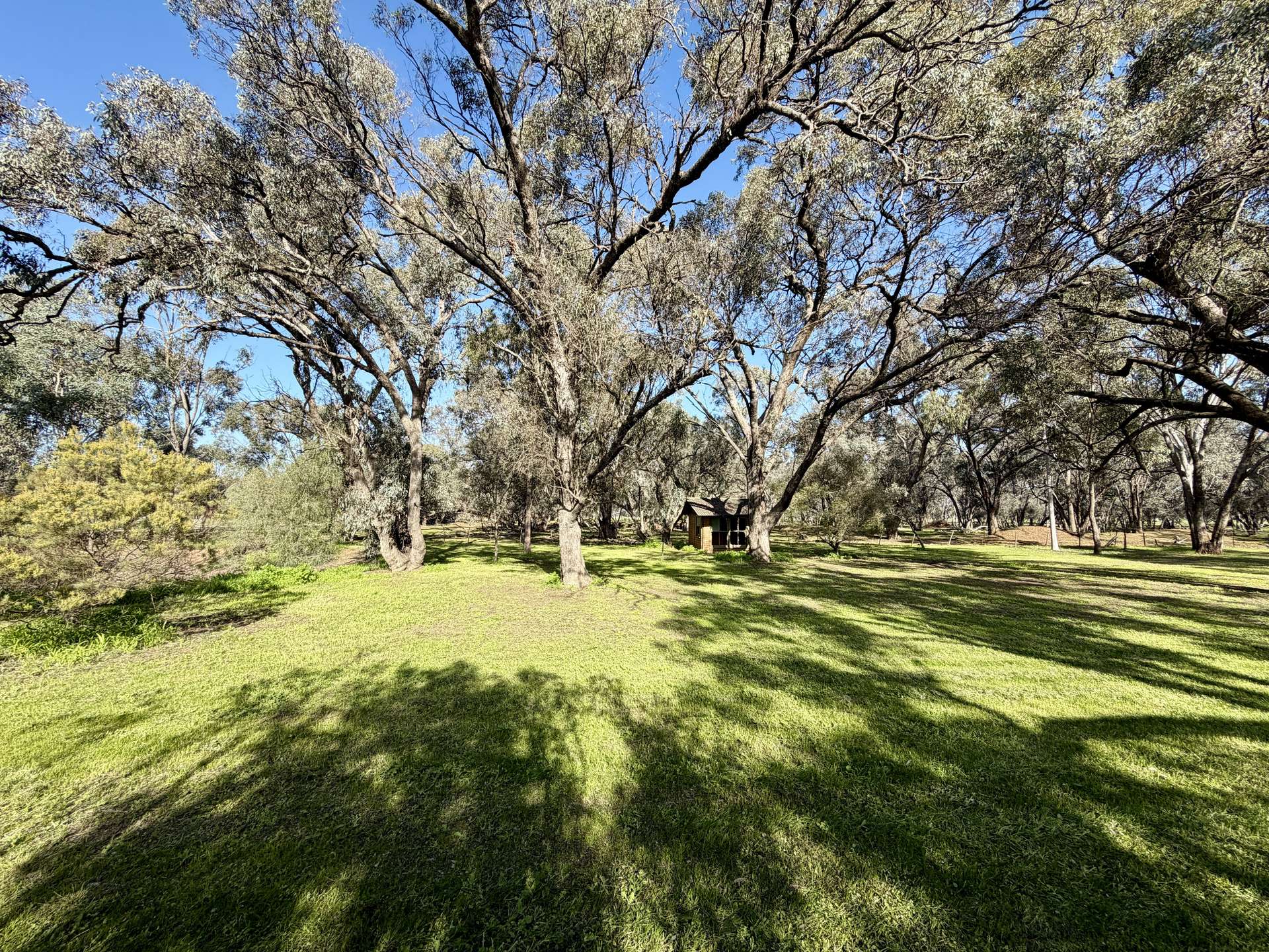 137 Stokes Rd, Strathmerton For Sale by Farmbuy.com - image 31