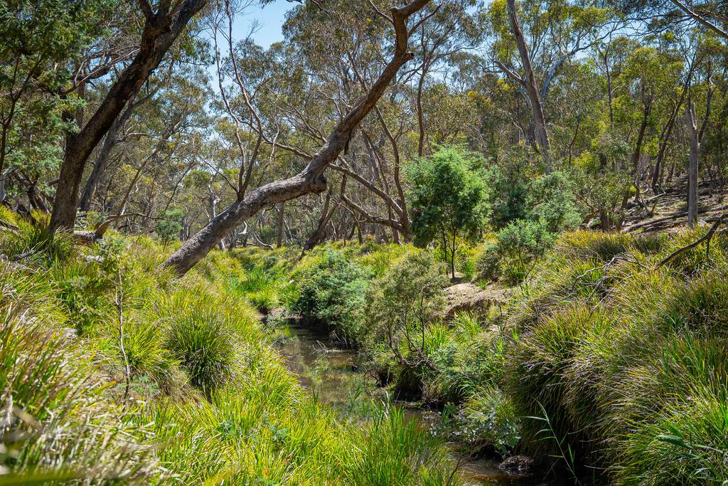Lot 101 Lucks Lane Lerida Via, Gunning NSW 2581