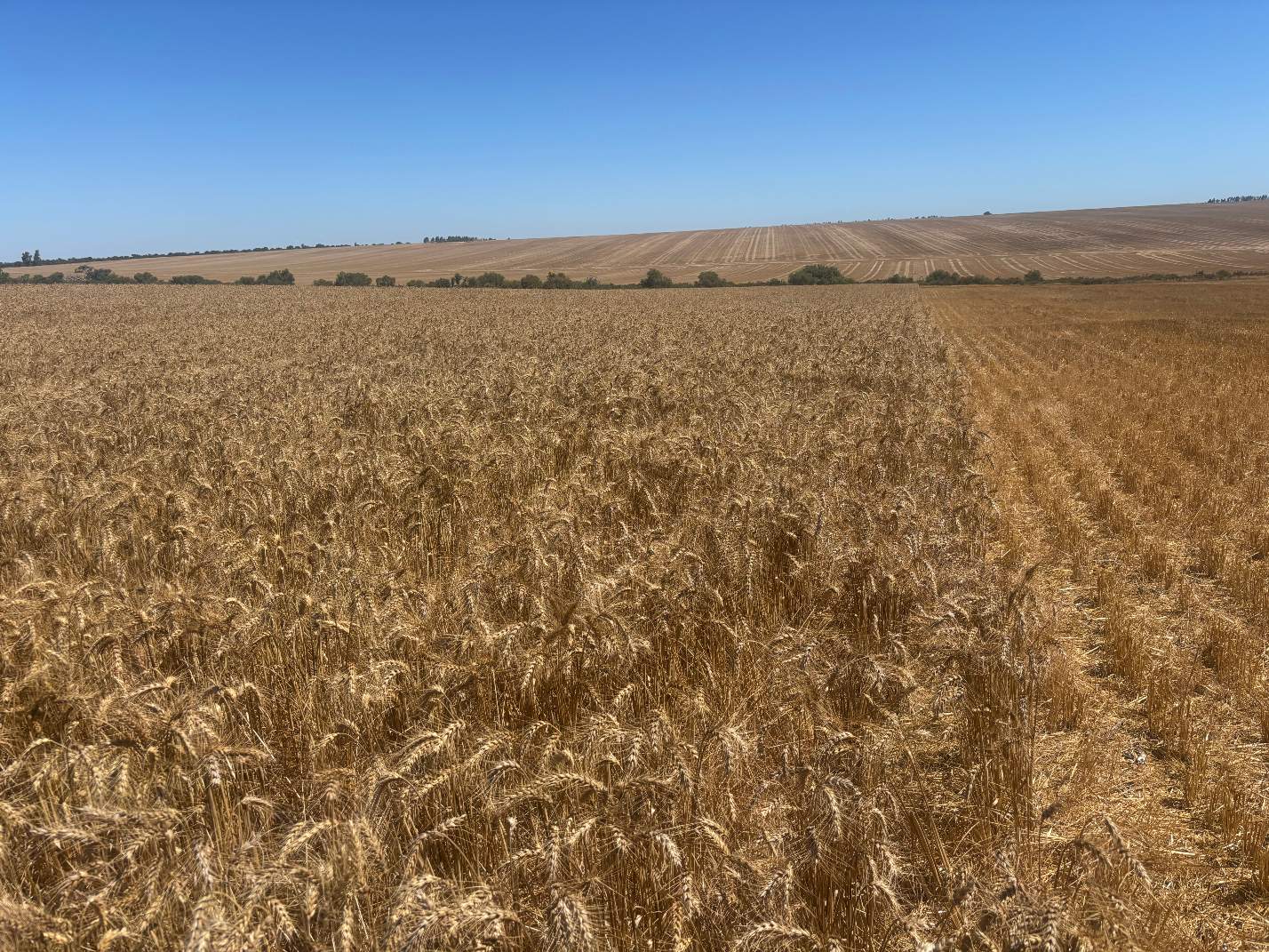 6062 Coorow-Greenhead Road, Warradarge For Sale by Farmbuy.com - image 18
