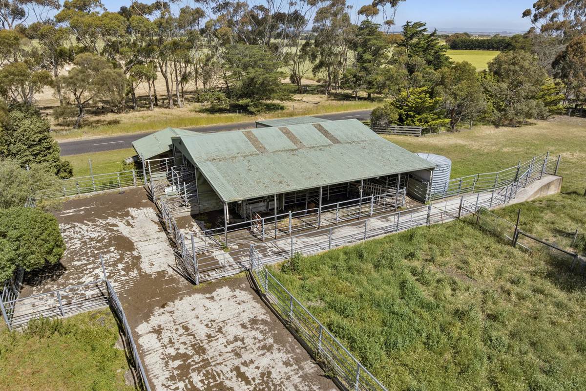 975 Warrowie Road, Irrewarra For Sale by Farmbuy.com - image 19