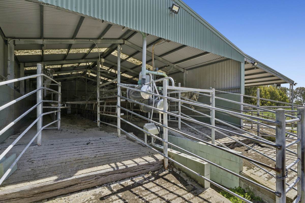 975 Warrowie Road, Irrewarra For Sale by Farmbuy.com - image 21