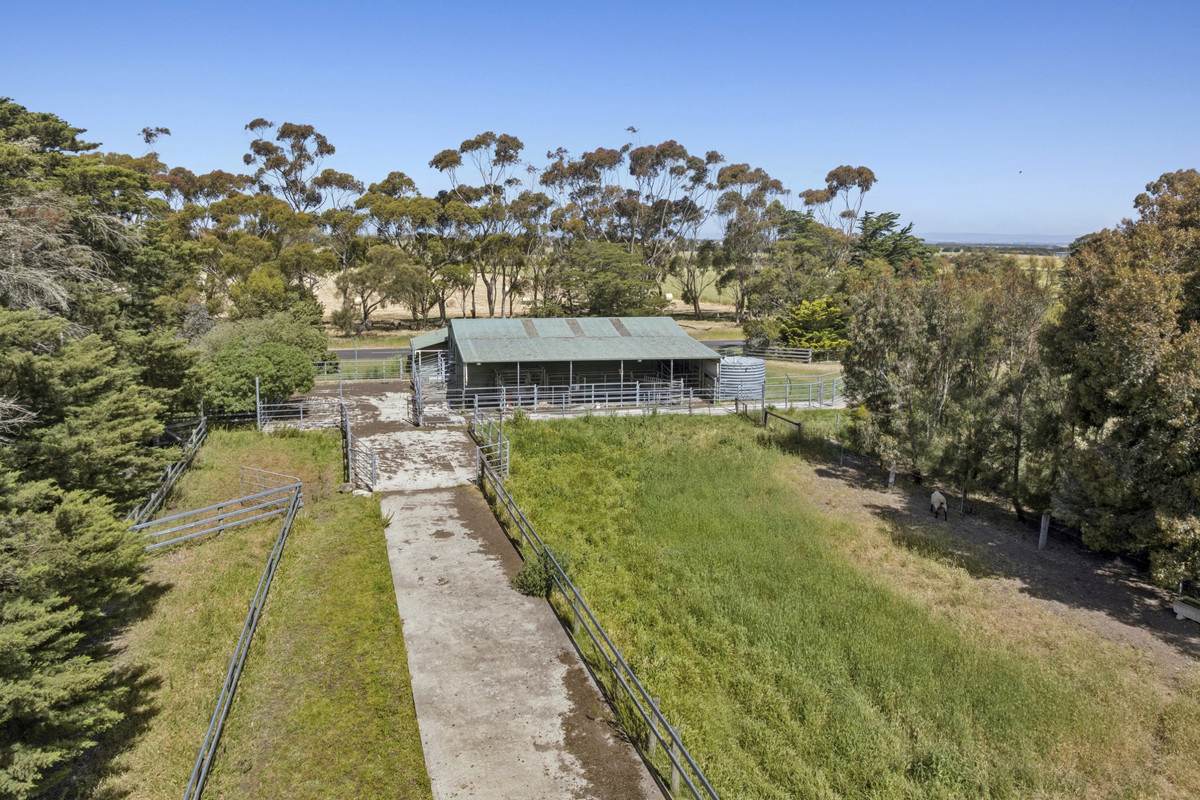 975 Warrowie Road, Irrewarra For Sale by Farmbuy.com - image 18
