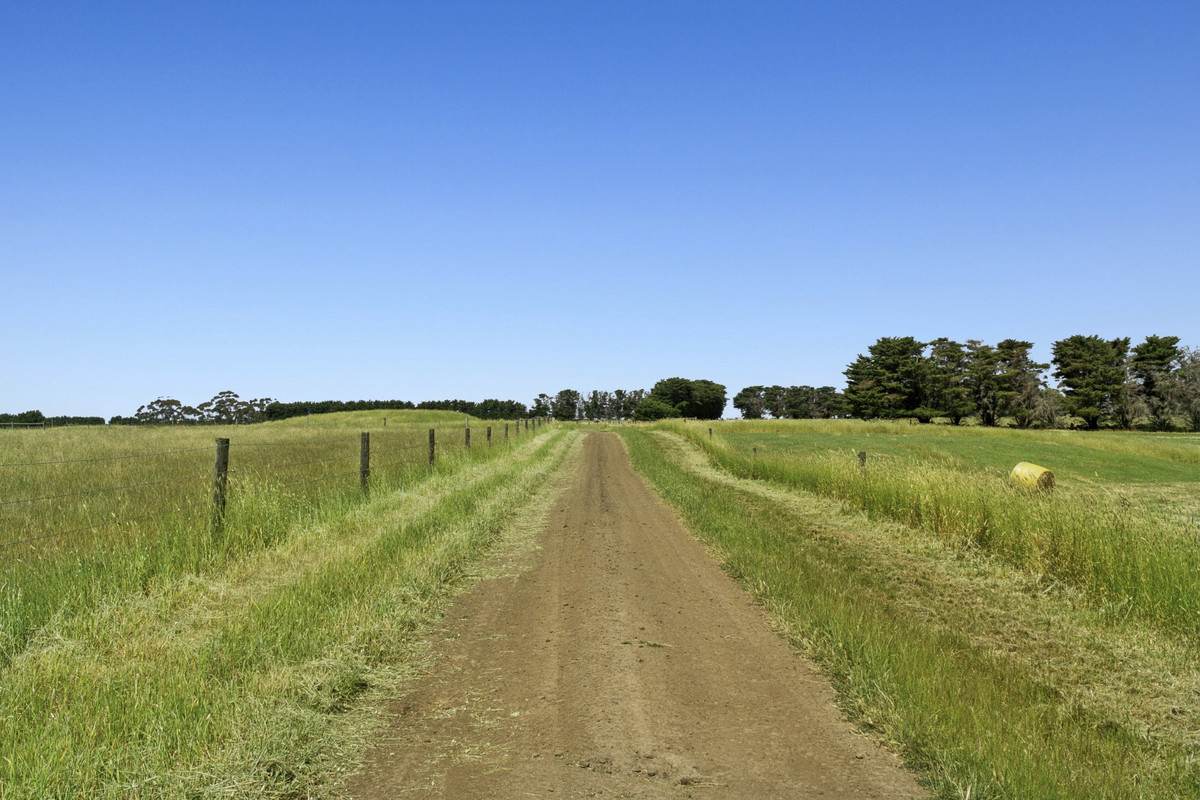 975 Warrowie Road, Irrewarra For Sale by Farmbuy.com - image 7