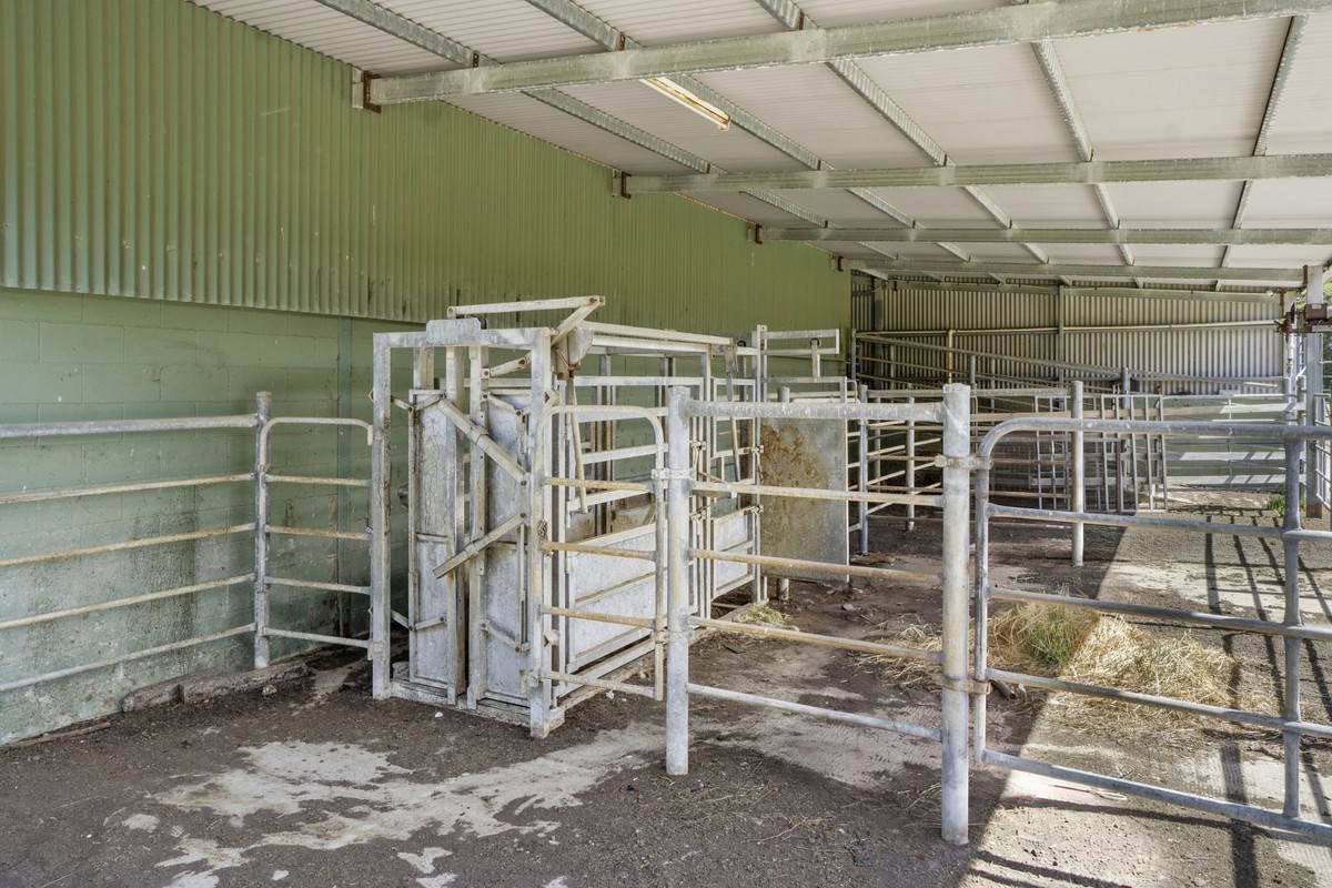 975 Warrowie Road, Irrewarra For Sale by Farmbuy.com - image 20