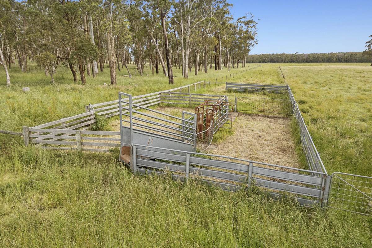 190 Blacks Road, Irrewillipe Sold by Farmbuy.com - image 4