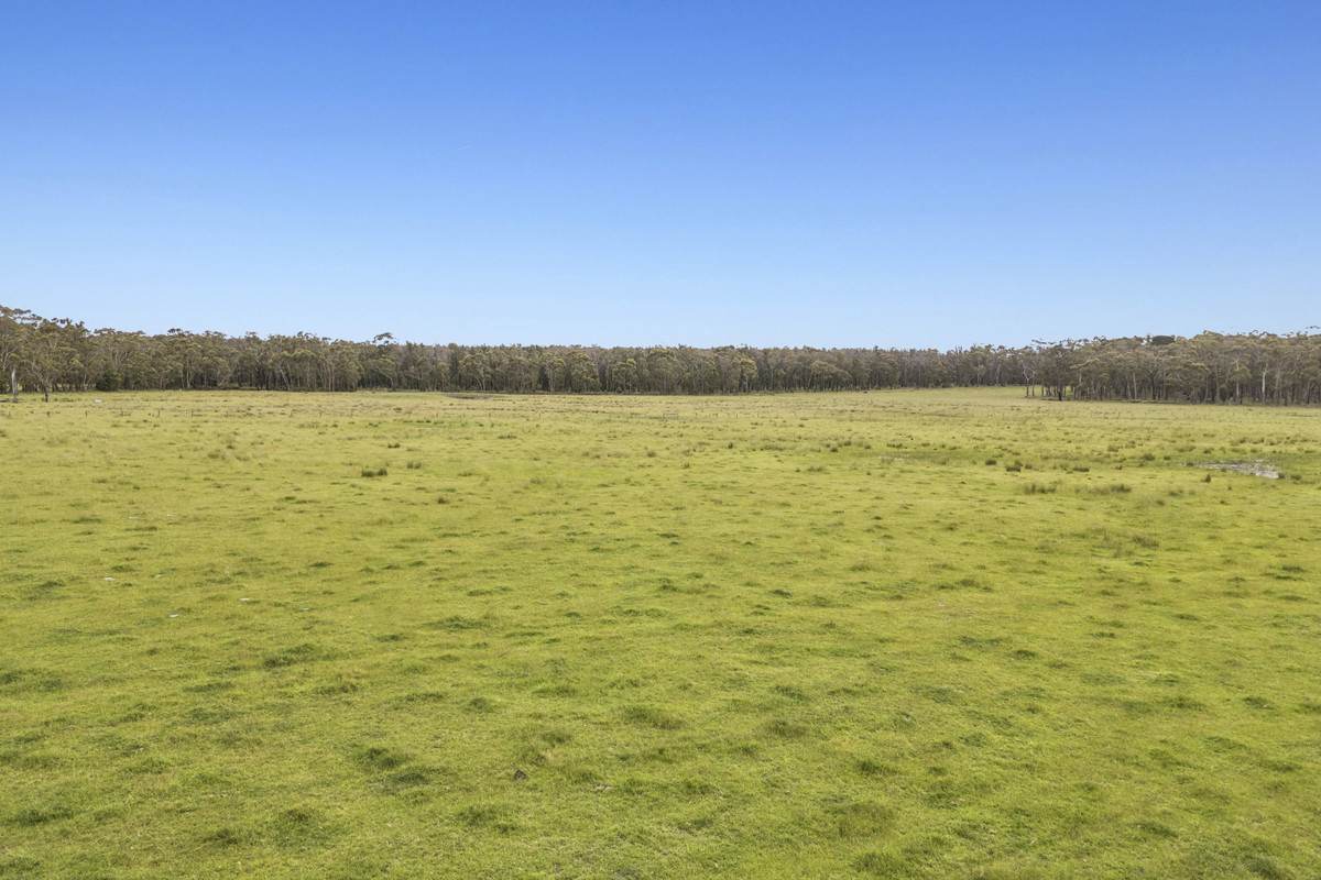 190 Blacks Road, Irrewillipe Sold by Farmbuy.com - image 7