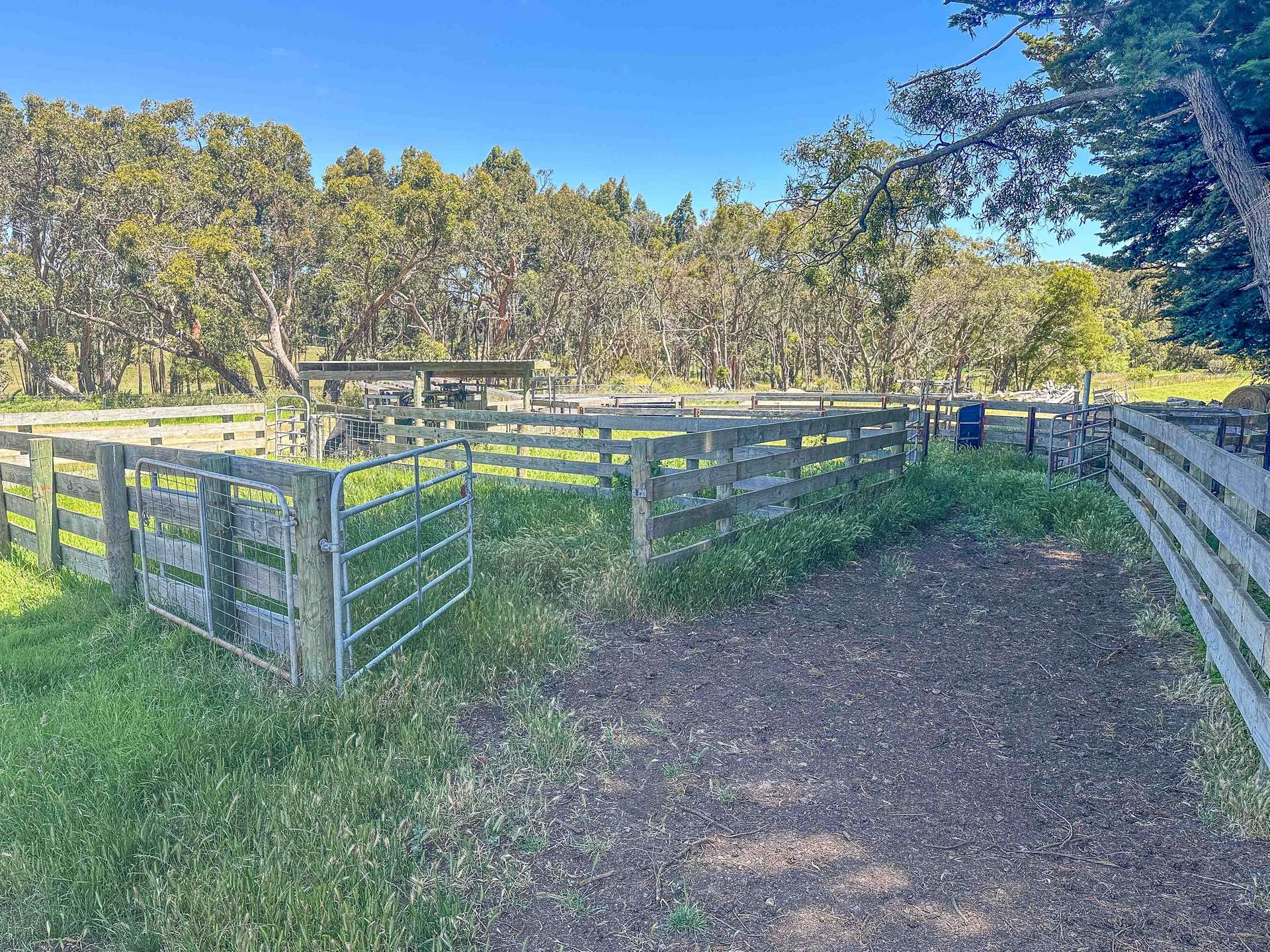 773 Portland-Nelson Road, Gorae West For Sale by Farmbuy.com - image 6