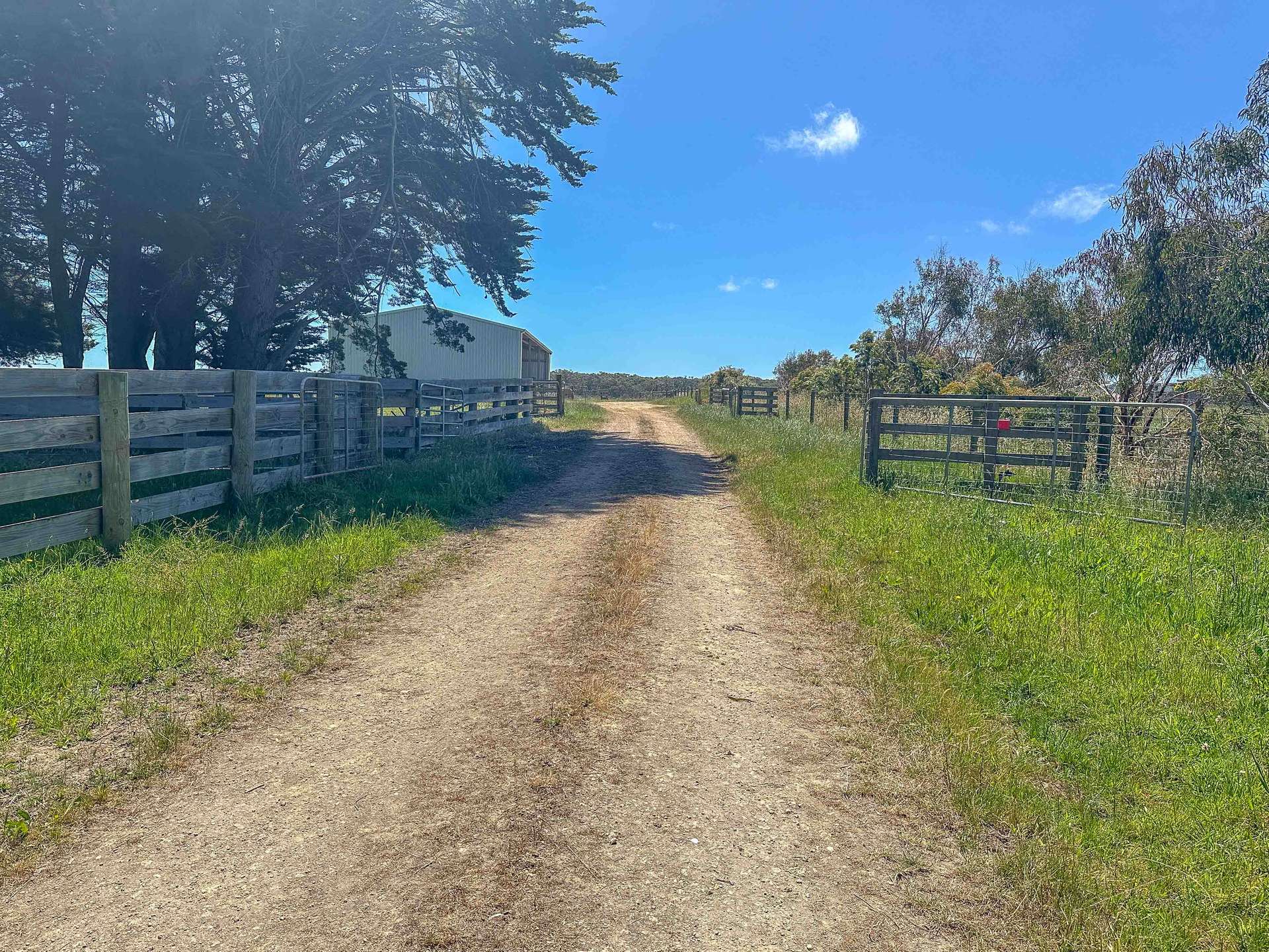 773 Portland-Nelson Road, Gorae West For Sale by Farmbuy.com - image 7