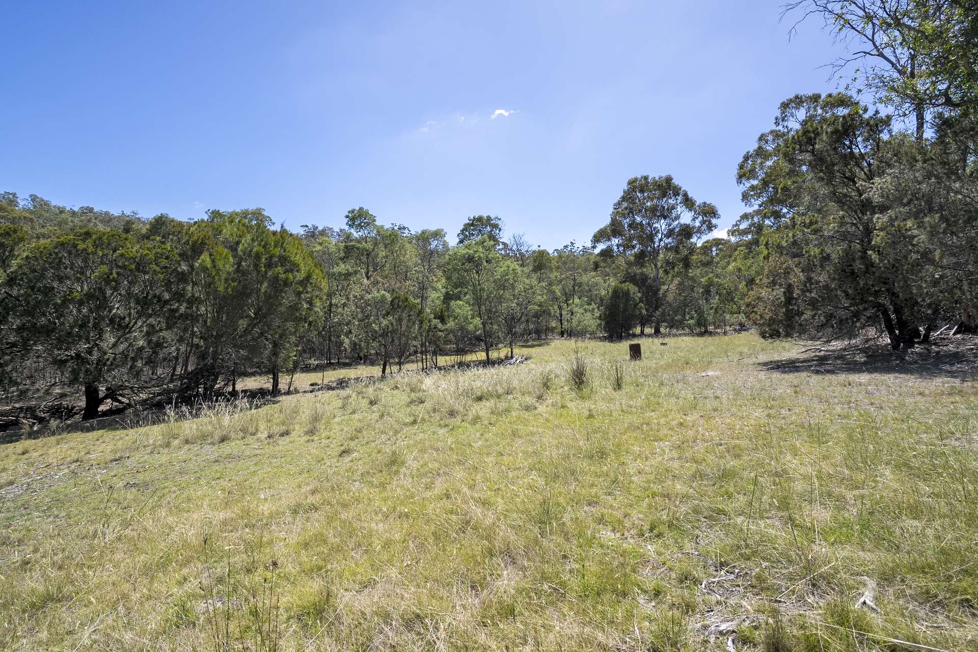 4 Grierson Drive, Forcett Sold by Farmbuy.com - image 21