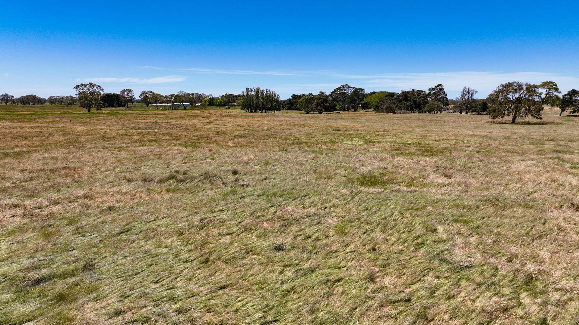 3133 Glenelg Highway, Strathdownie For Sale by Farmbuy.com - image 16