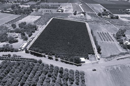 Farm Sold - SA - Renmark - 5341 - WELCOME TO LOT 115 Sixty Foot Road 