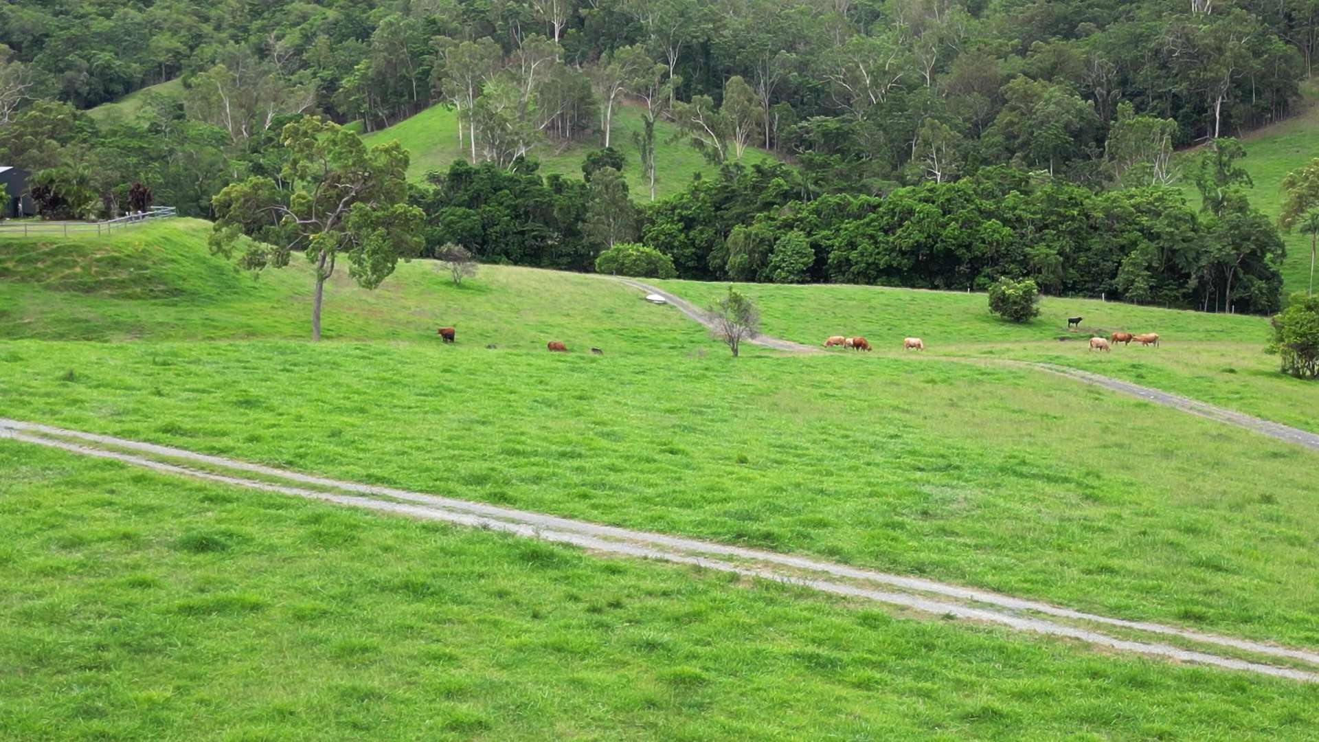 Devereux Creek Sold by Farmbuy.com - image 9