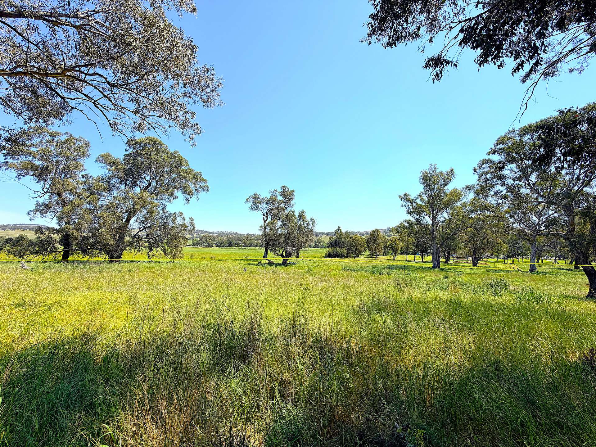 40 Merriwa Road, Willow Tree Sold by Farmbuy.com - image 5