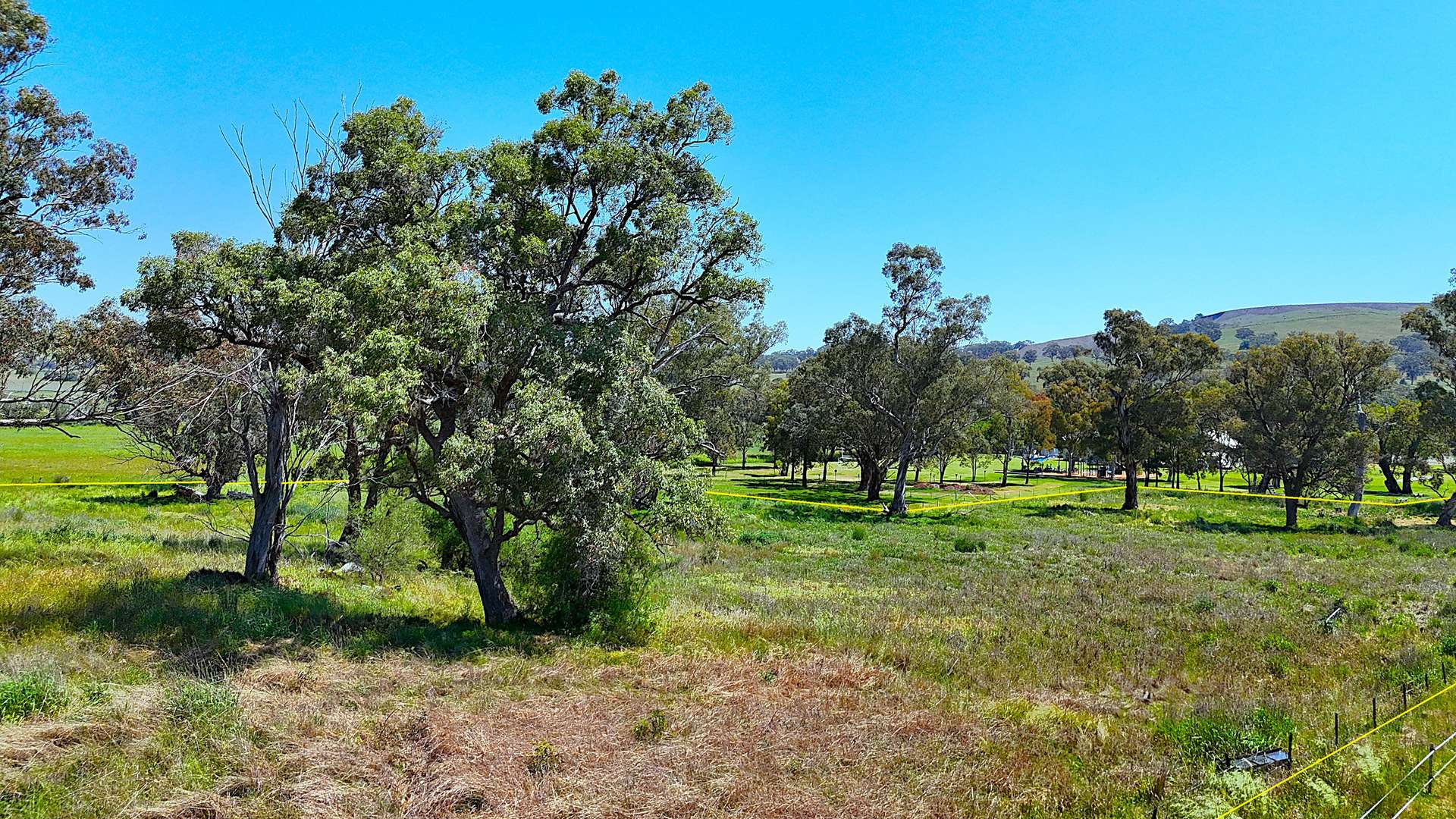 40 Merriwa Road, Willow Tree Sold by Farmbuy.com - image 12