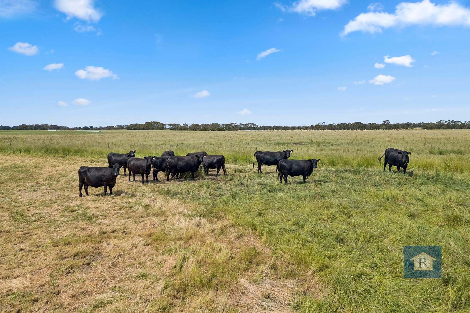 280 Crabbes Road, Irrewillipe For Sale by Farmbuy.com - image 8