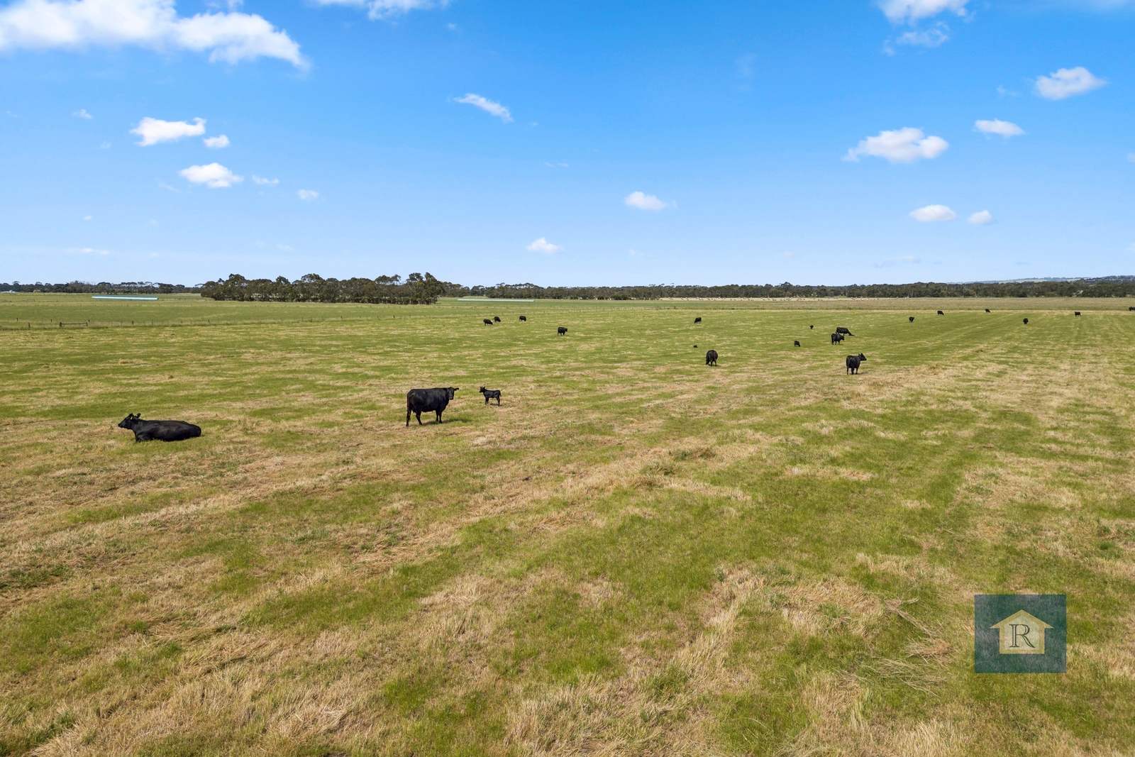 280 Crabbes Road, Irrewillipe For Sale by Farmbuy.com - image 18
