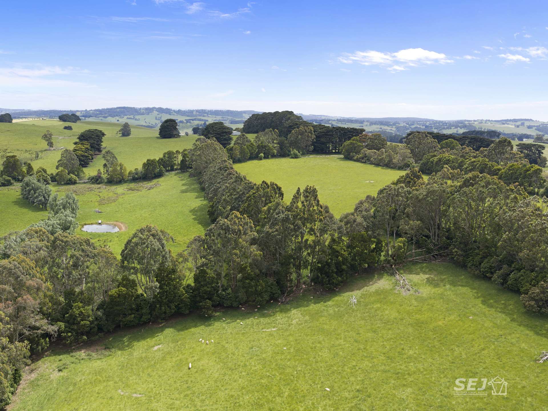 105 Holmes Road, Mardan For Sale by Farmbuy.com - image 14