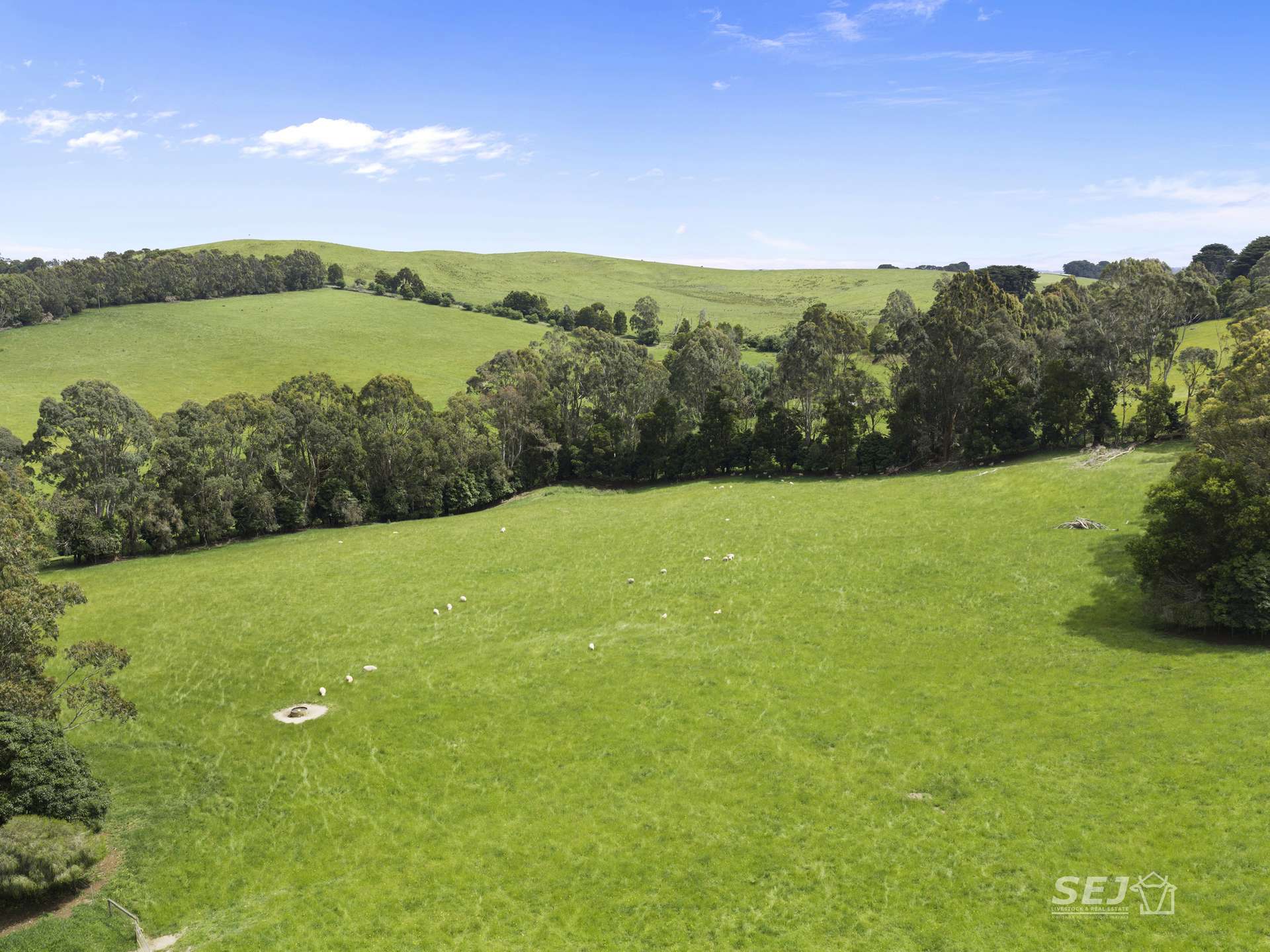 105 Holmes Road, Mardan For Sale by Farmbuy.com - image 10