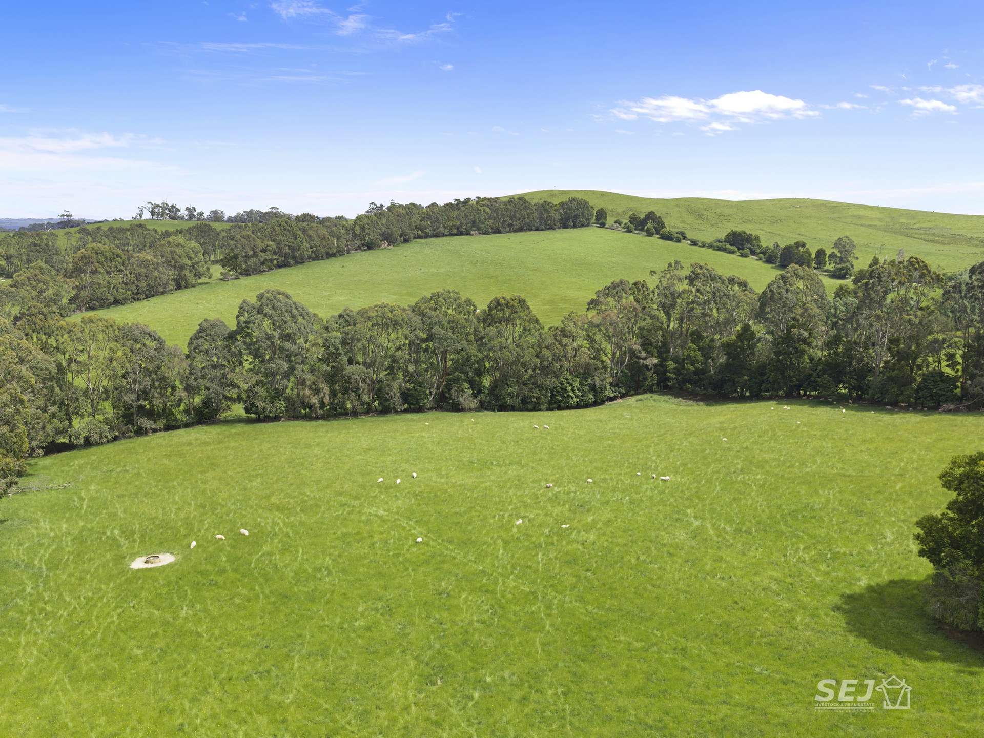 105 Holmes Road, Mardan For Sale by Farmbuy.com - image 13