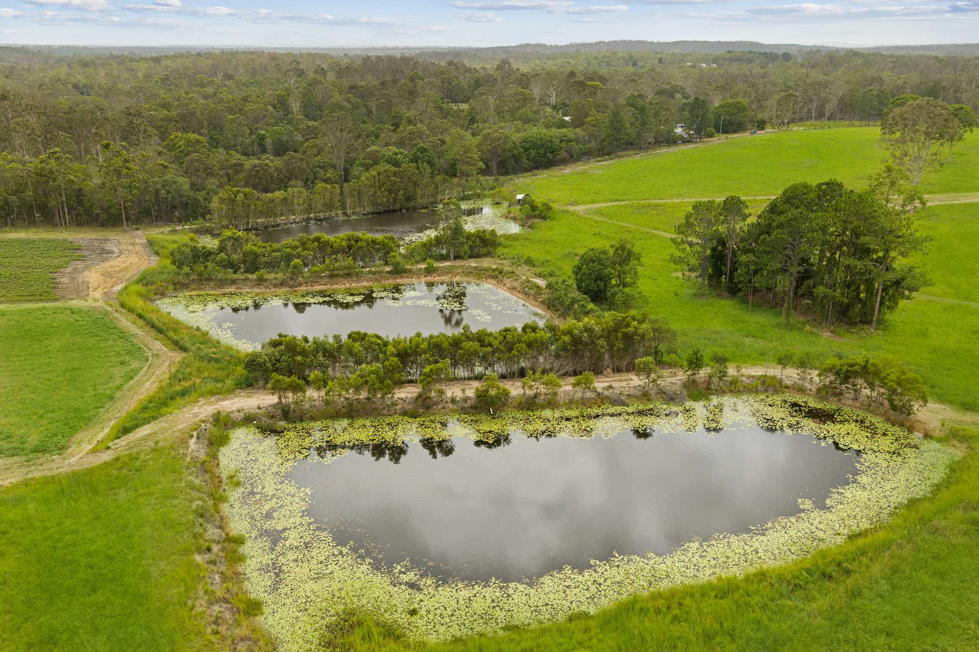 Anderleigh For Sale by Farmbuy.com - image 24