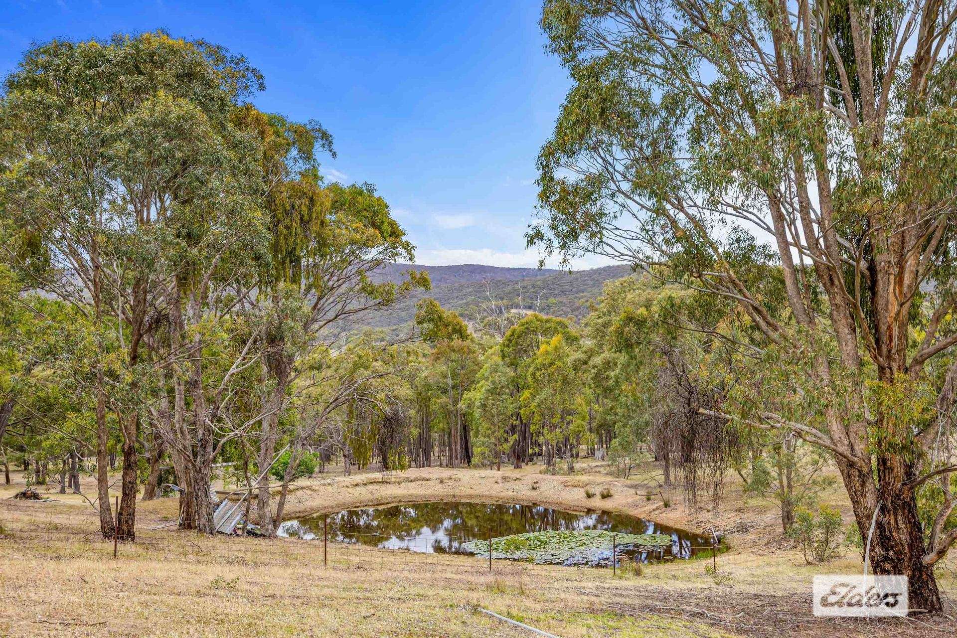 846 Landsborough-Elmhurst Road, Landsborough For Sale by Farmbuy.com - image 7