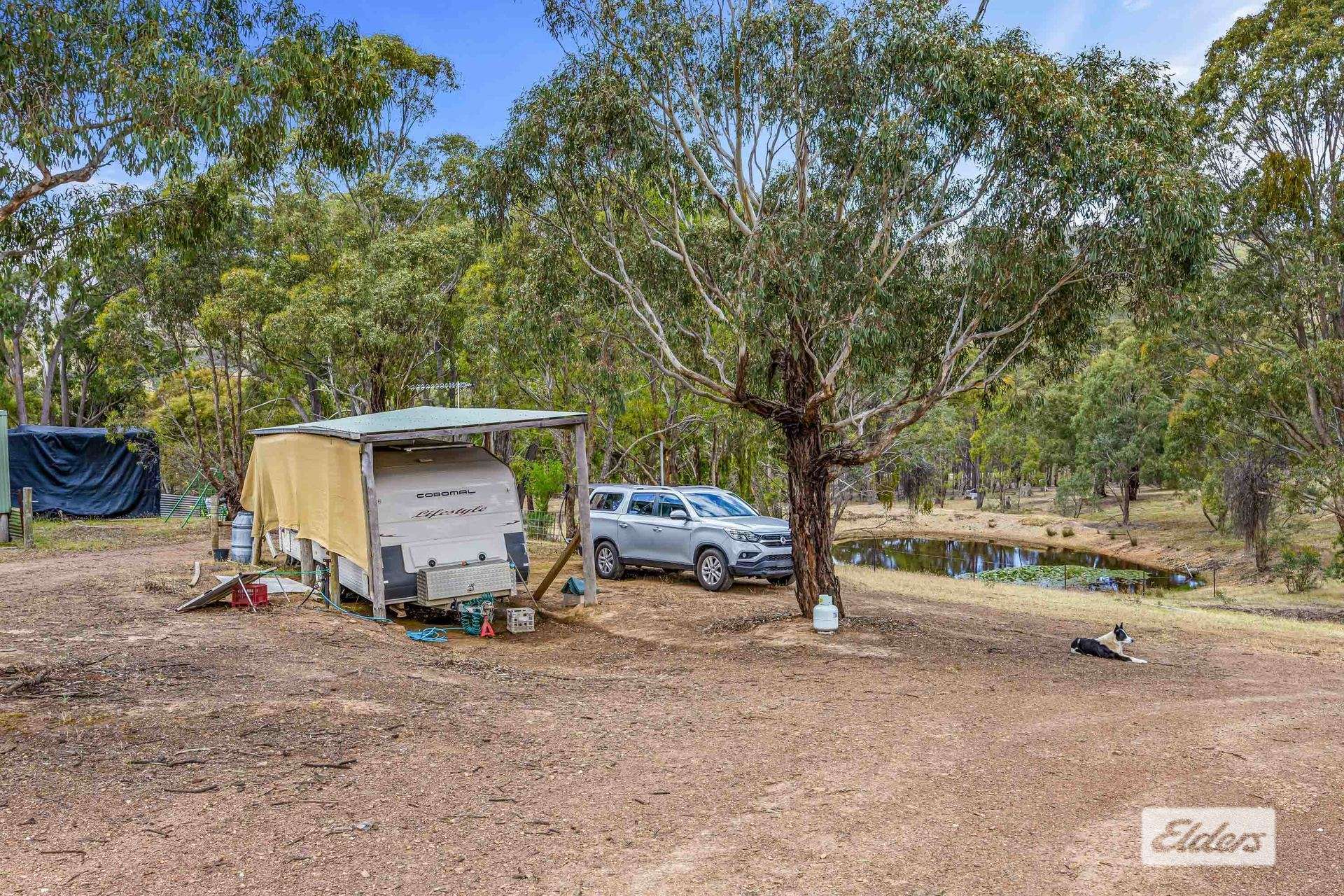 846 Landsborough-Elmhurst Road, Landsborough For Sale by Farmbuy.com - image 4