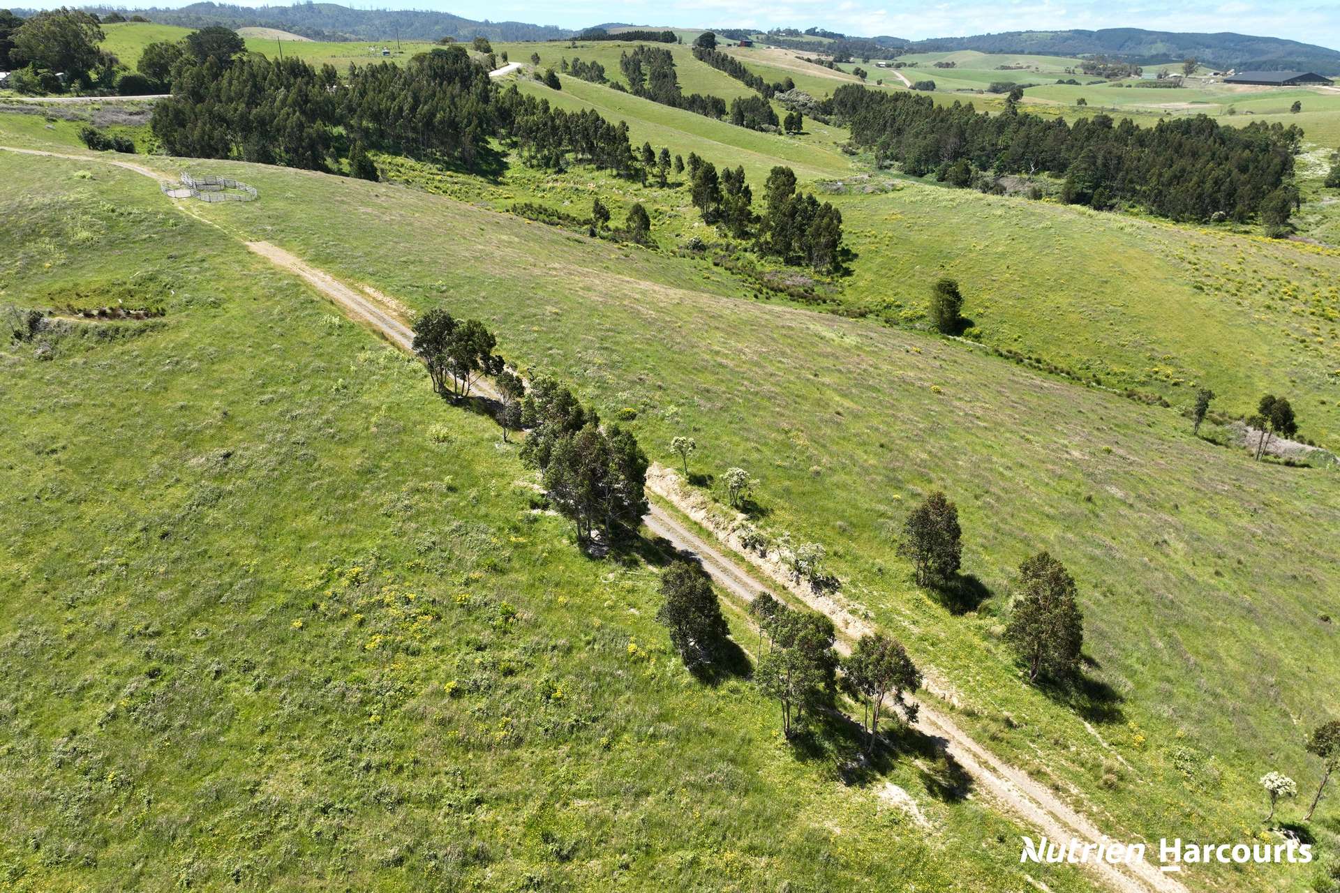 2035 Woorarra East Road, Woorarra East For Sale by Farmbuy.com - image 10