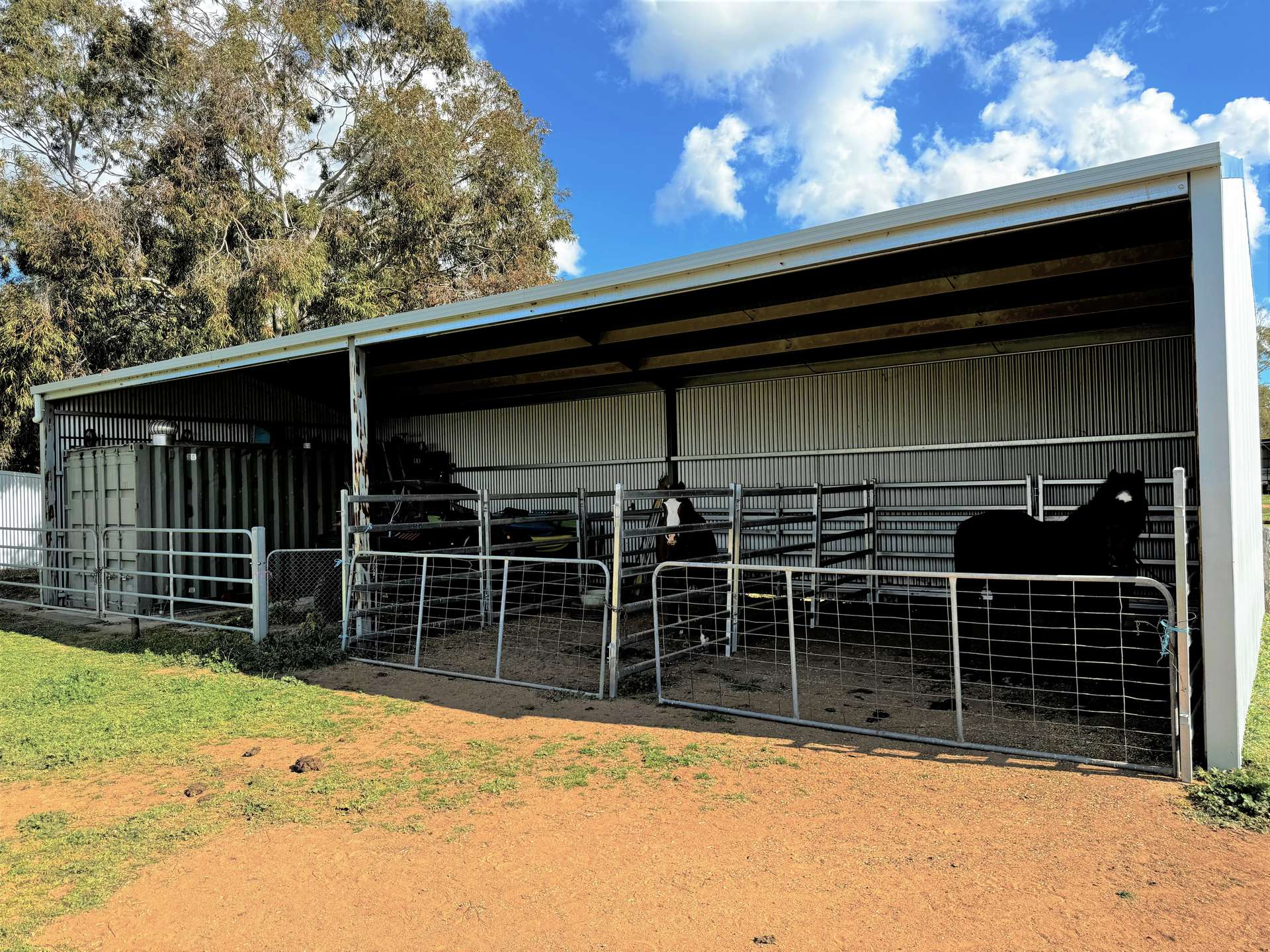 Calimo Park Brassi Road, Deniliquin Sold by Farmbuy.com - image 15