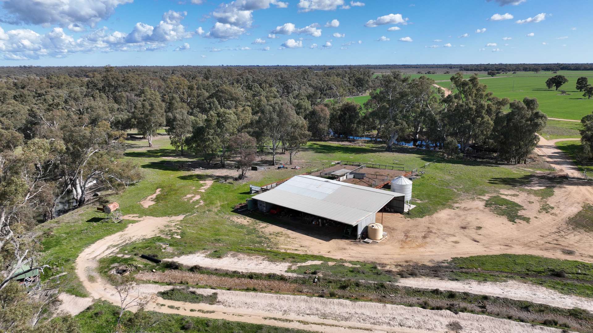 Calimo Park Brassi Road, Deniliquin Sold by Farmbuy.com - image 3