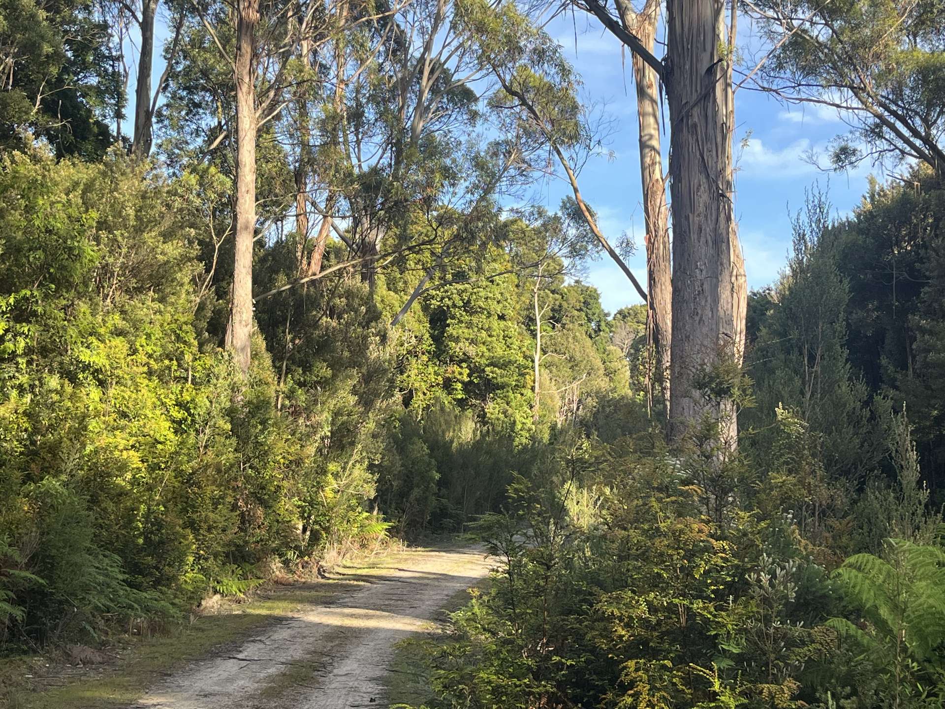 . Wilsons Road, Granville Harbour For Sale by Farmbuy.com - image 4