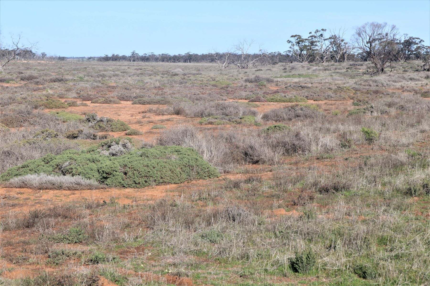 724 Chaplin Road, Tutye For Sale by Farmbuy.com - image 3