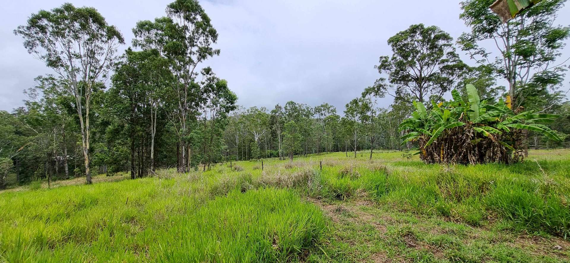 Ravenshoe Sold by Farmbuy.com - image 28